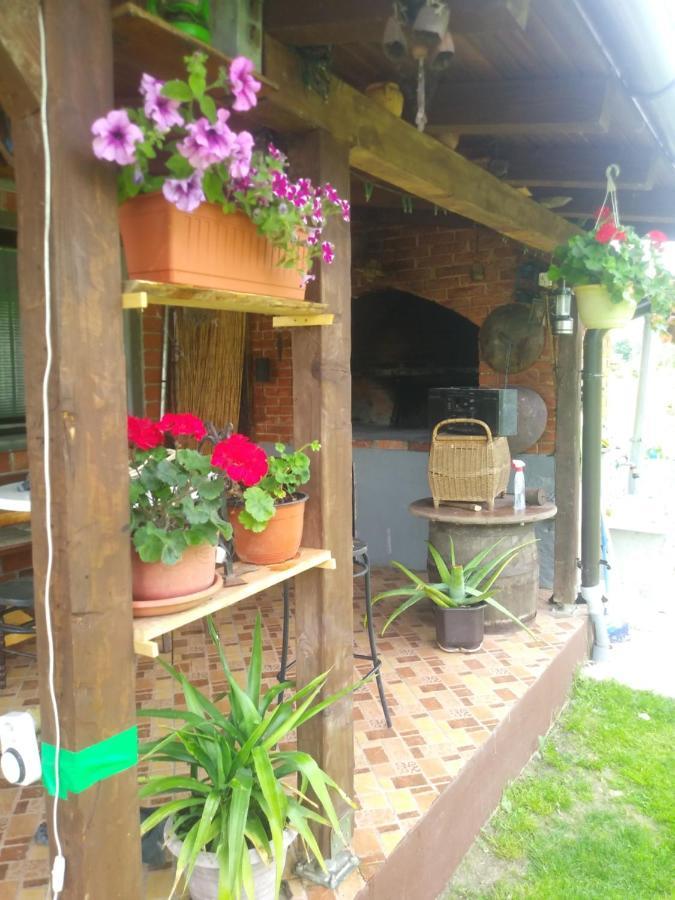 Ribarska Vila Donje Lohovo Εξωτερικό φωτογραφία